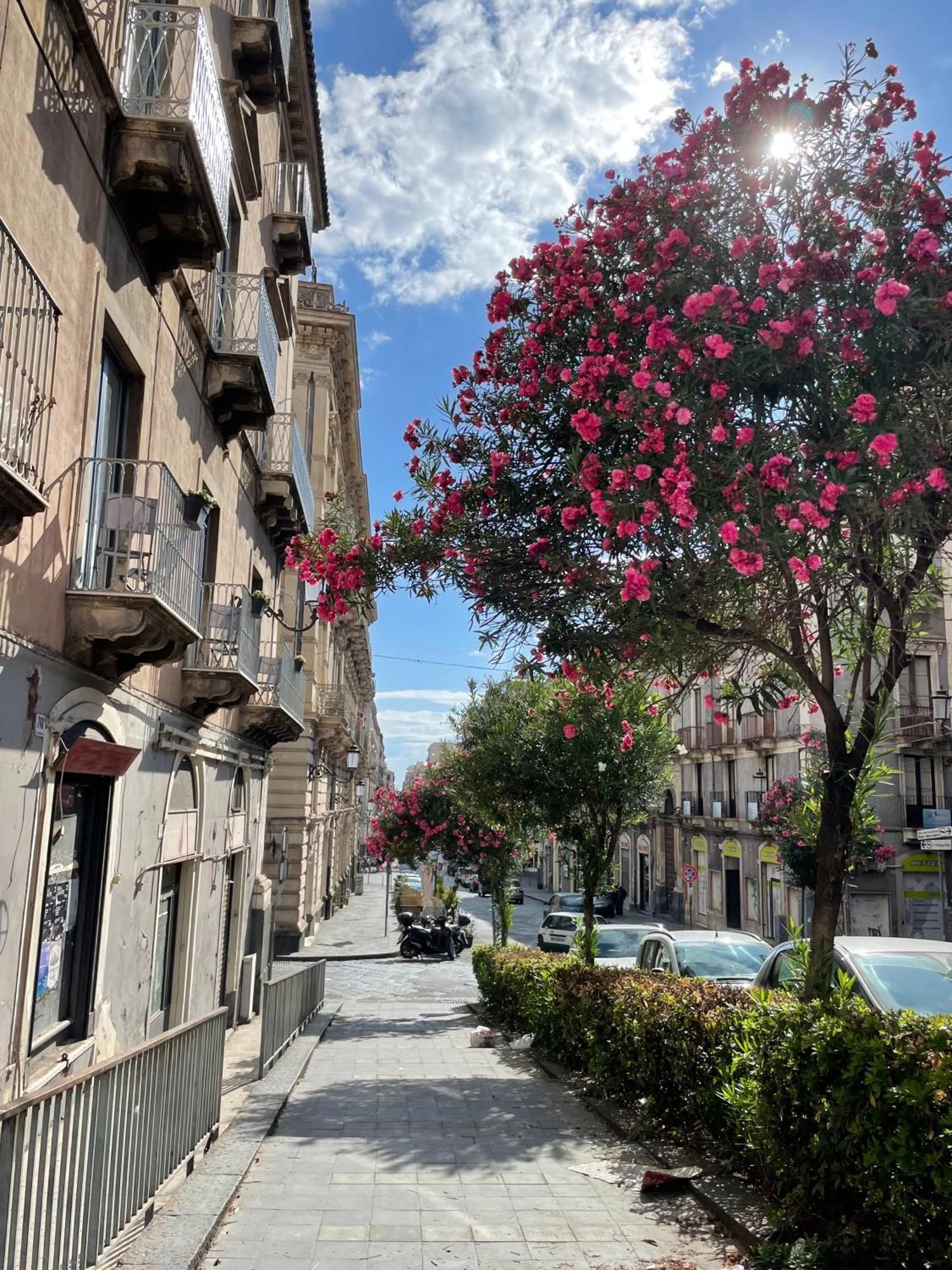 Opera Boutique Bed & Breakfast Catania Bagian luar foto